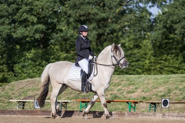 Bild 181 - Pony Akademie Turnier
